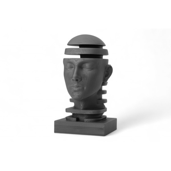 Fragmented Contemplation Sculptural