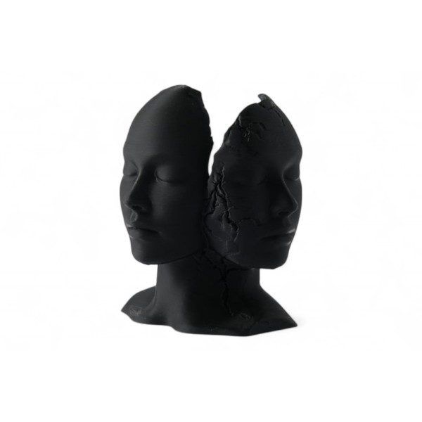 Fragmented Duality Abstract