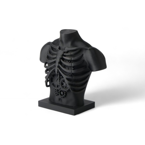 Steampunk Ribcage Bust